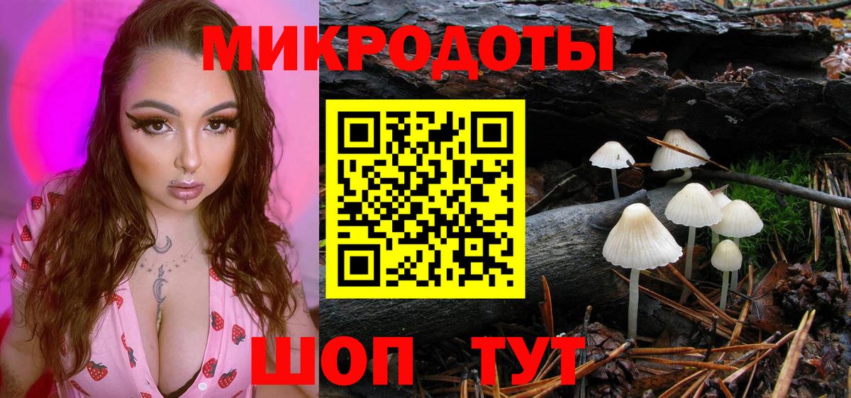 Псилоцибиновые грибы ЛСД Рубцовск