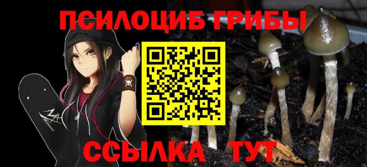 Галлюциногенные грибы прущие грибы  Вход с VPN  Рубцовск 